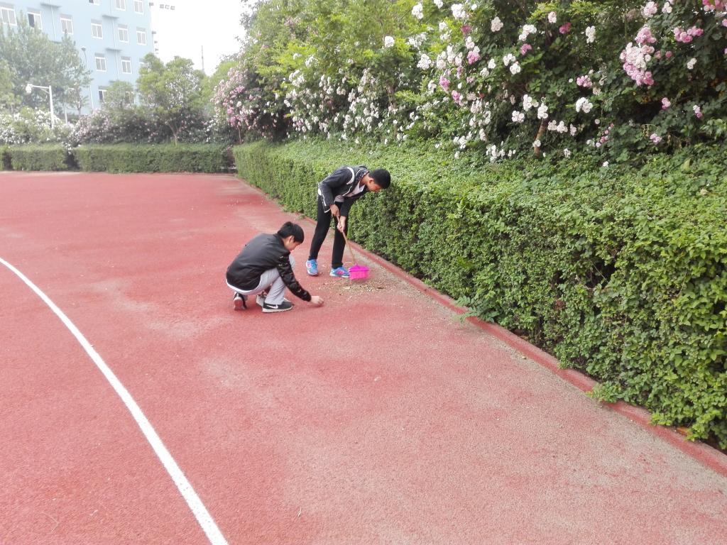 行动之美