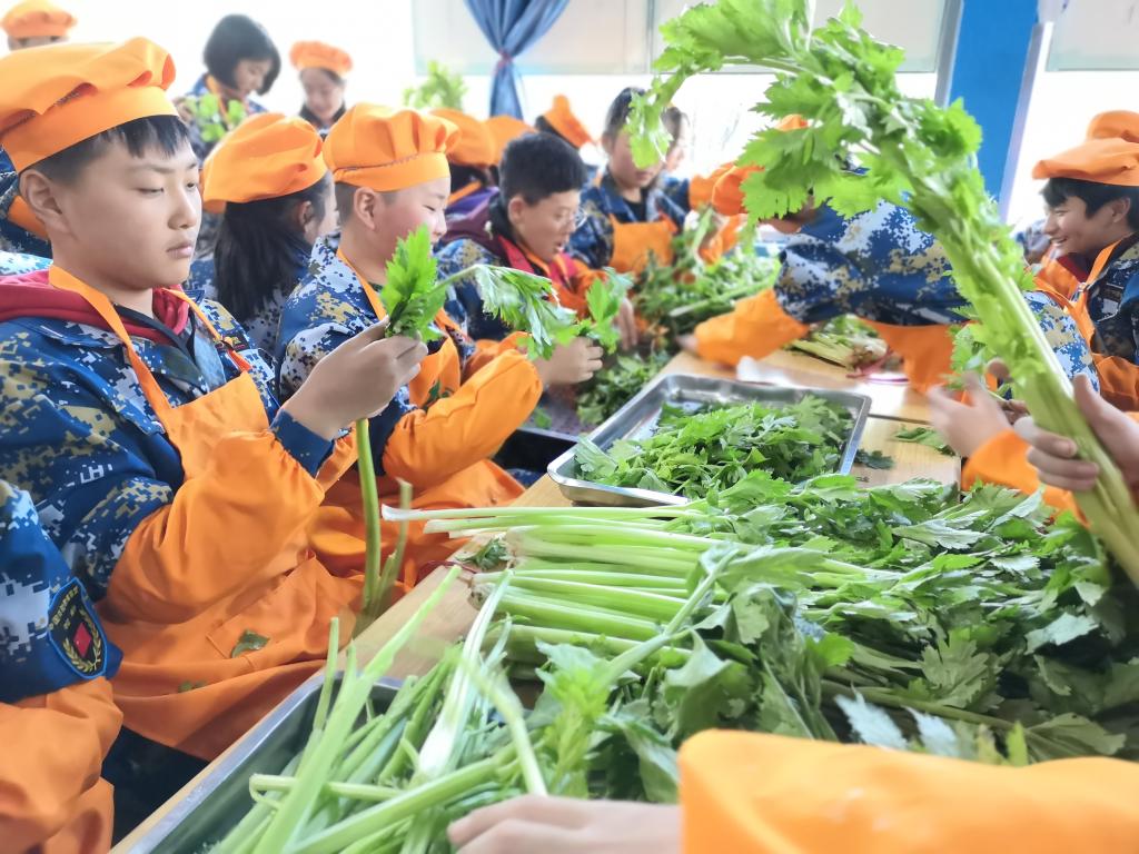 生活实践