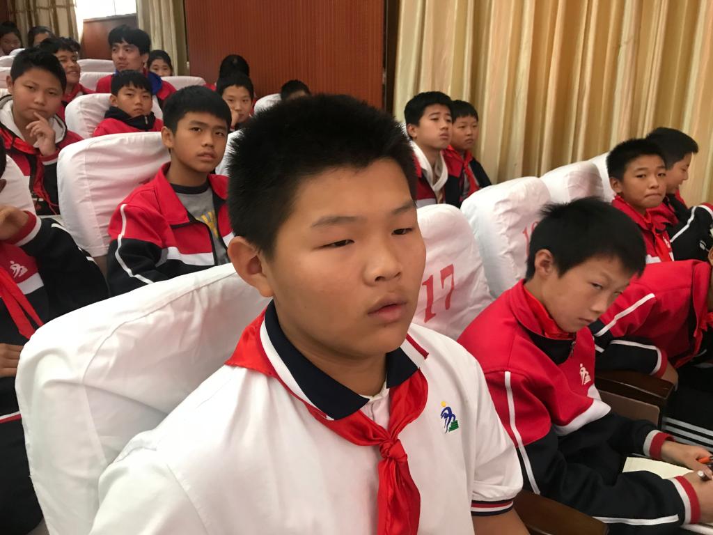 认真的小观众
