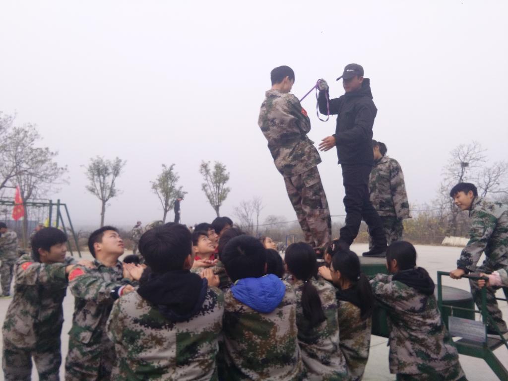 信任背摔