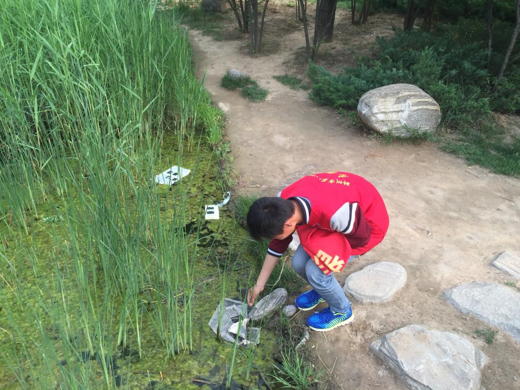 捡拾垃圾