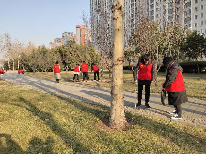 捡拾七里河畔绿地垃圾